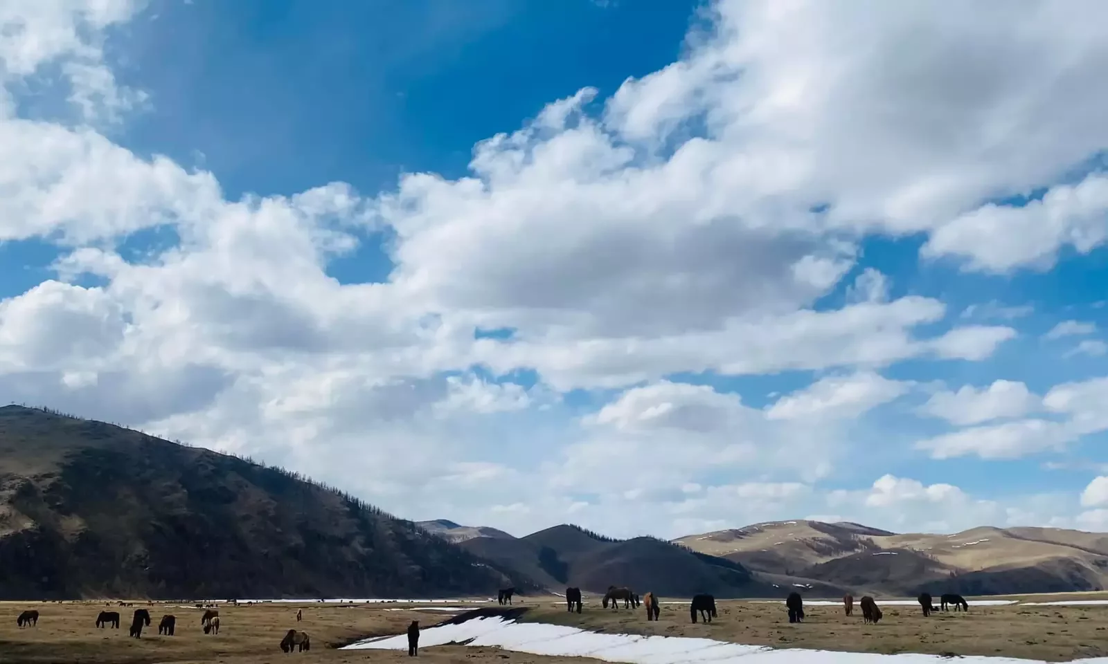 Step-by-Step Guide to Planning Your First Mongolia Trip